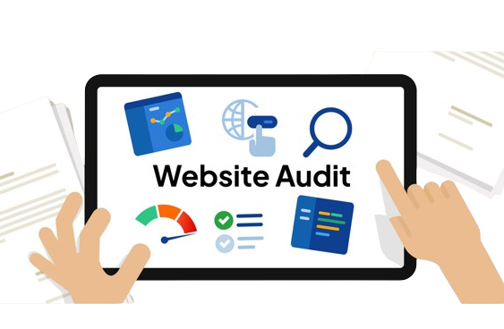 Website Audit